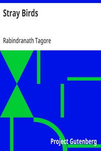Cover of Stray Birds — A Closer Reading