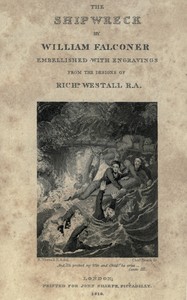 Cover of The shipwreck — Themes and Context